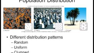 Biology 1010 Lecture 18 Population Ecology