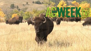 AgweekTV Full Episode 10/07/23 S09E40