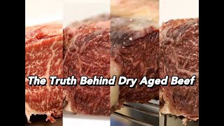 Demystifying dry aged beef. How to age your own meat at home for under $70 #cookwithcadence #DIY