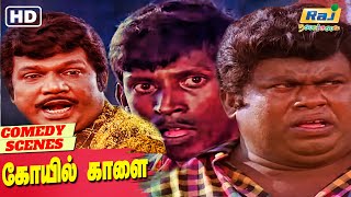 டேய்... இதுக்கு முன்னாடி இளநீர் குடிச்சிருக்கியா | Koyil Kaalai Comedy | Senthil | Raj Nagaichuvai