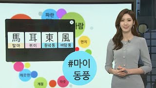 [날씨트리] 동풍의 순 우리말은 '샛바람'…내일 먼지농도 보통 / 연합뉴스TV (YonhapnewsTV)