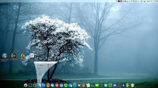 KDE Plasma - Dolphin's resizing animation
