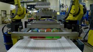 Food Packaging Cell - FANUC M-10iA Robots