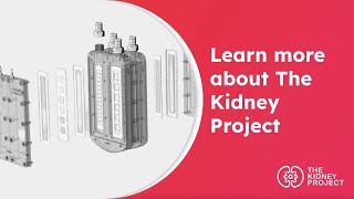 Learn more about The Kidney Project