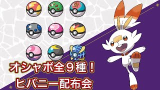 オシャボ全9種類ヒバニー配布会 夢特性5V~6V性格ようき【ポケモンSV】