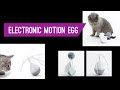 Juguete para gatos - Electronic Motion Egg IBÁÑEZ