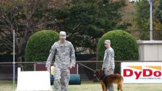 [20091114]米陸軍キャンプ座間x27「軍用犬デモ(15:45)〜その1〜」