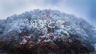 日本の美風景　紅葉と雪