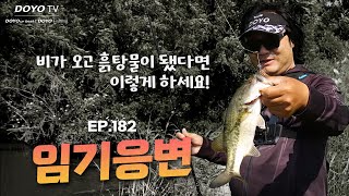 [도요TV ep.182] 비가 내린 후, 배스를 만나기 위해서는 어떤 포인트를 찾아야 할까?