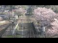 採銅所駅 4月の朝 日田彦山線