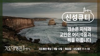 [춘천신성교회] 김찬석 전도사 | 신성큐티 0912(화) 행 11:1-18