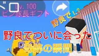 [緊急❗️]野良でついに会った！？奇跡の瞬間✨