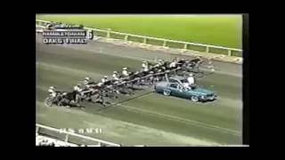 1994 Meadowlands GLEAM Hambletonian Oaks Final