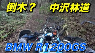 【BMW R1200GS 空冷】八王子市の中沢林道、国道20号からちょっと入ったら出現するアドベンチャーな林道【モトブログ】大人のバイク