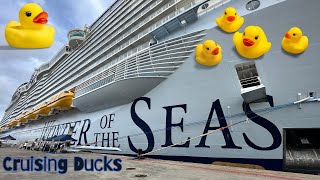 Hiding Cruising Ducks on Royal Caribbean Wonder of the Seas!