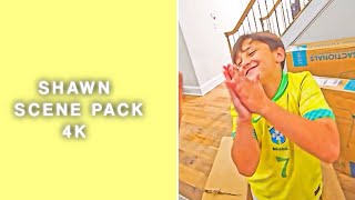 Shawn 4K scene pack