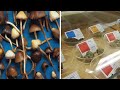 CA lawmakers vote to decriminalize psychedelics, move forward with cannabis cafes