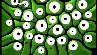 CBBC Ident: Crowd (Blue)