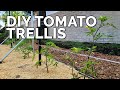 3 DIY Tomato Trellis Ideas, Perfect for ANY Budget 🍅