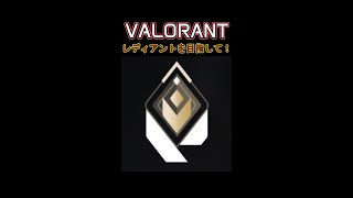 雑談配信　のんびりVALORANT　 チャンネル登録待ってます！　#雑談 #雑談配信 #Shorts #VALORANT #初心者配信者 #beginnerstreamer