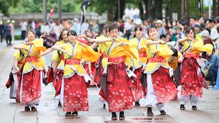 光が丘よさこい20190715 60 B　茨城県立医療大学よさこいサークル錦織姫