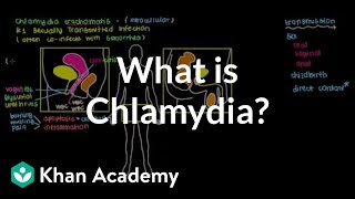 What is chlamydia? | Infectious diseases | NCLEX-RN | Khan Academy