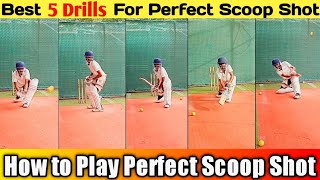 Scoop shot cricket | del scoop shot cricket drills | how to play scoop shot #cricket  #scoopshot