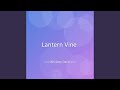 Lantern Vine