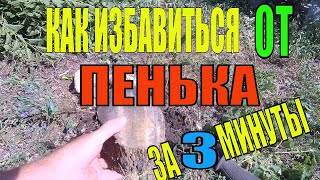 Как выкорчевать пень за 3 минуты