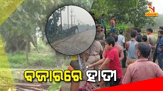 Elephant Creates Havoc In Athagarh | Nandighosha TV