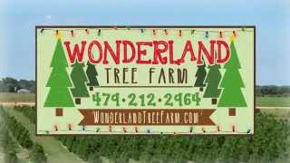 NWA Christmas Tree Farm | Northwest Arkansas Real Christmas Trees Lots