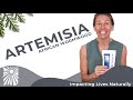 Artemisia - What Is It & How To Use It #UmoyoLife​ 042