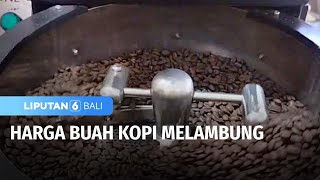 Harga Buah Kopi Melambung, Pengusaha Mengeluh | Liputan 6 Bali