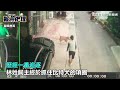 又見比特犬攻擊！闖民宅咬死家貓　飼主心碎：沒保護好你｜三立新聞網 setn.com