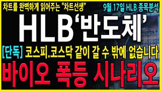 [HLB 에이치엘비] \