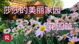 【彬彬有院】花 •768莎莎的美丽家园之一花园篇