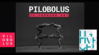 THE BIG FIVE-OH! TOUR Pilobolus 60 sec Sizzle