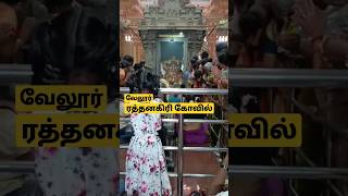 வேலூர் ரத்தினகிரி கோவில் | ratnagiri murugan temple | #shorts #tamilisai soundararajan #vinothvibes