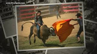 Apolo - Vaqueros Apasionados en la Fiesta Brava  2010-2017