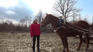 КУПИЛ ХУТОР в ЛЕСУ на КРАЮ БОЛОТА. Часть 109. ВНЕДОРОЖНИК НЕ СПРАВИЛСЯ.