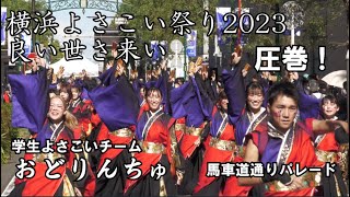 圧巻の演舞！「横浜よさこい祭り2023」良き世さ来い 学生よさこいチーム　おどりんちゅ