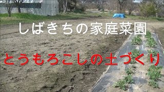 家庭菜園 とうもろこしの土づくり 2021年04月01日