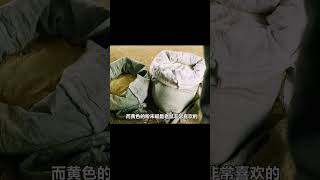 7歲兒子被村長毒殺，父親將自己獻祭給老鼠，幫他屠殺了全村 #电影 #电影解说 #影视 #影视解说 #剧情