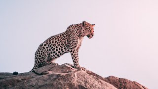 A Guide to React Native Optimisation