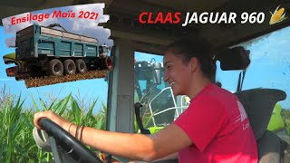 TOP DEPART Ensilage de Maïs 2021 ! CLAAS JAGUAR 960 | FENDT | GIRL ON TRACTOR | ETA GEINGUENE (44)