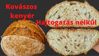 Kovászos kenyér recept hajtogatás nélkül. Kovászolt kenyér készítése házilag kezdőknek