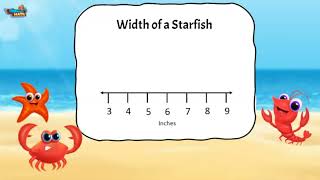 Represent Data on a Line Plot | 2nd Grade Math