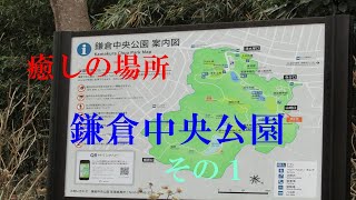 鎌倉中央公園その１