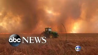 Record wildfires rage in Amazon rain forest l ABC News