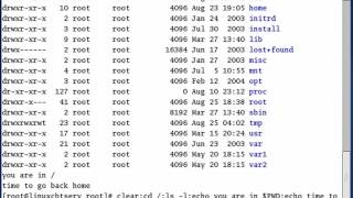Linux Bash course 9/51 Command Chaining